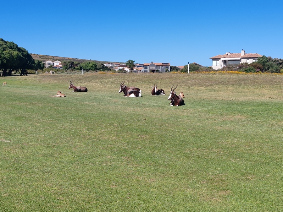 0 Bedroom Property for Sale in Langebaan Country Estate Western Cape